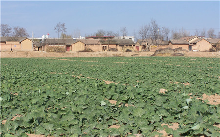 腾博汇游戏官网·(中国)专业效劳,诚信为本