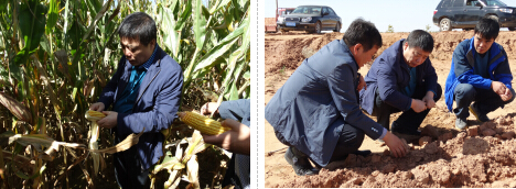 腾博汇游戏官网·(中国)专业效劳,诚信为本