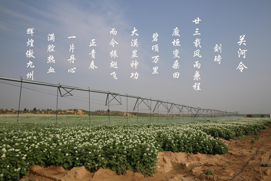 腾博汇游戏官网·(中国)专业效劳,诚信为本