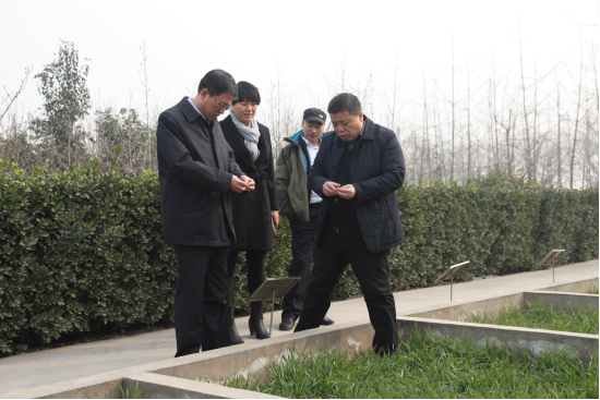 腾博汇游戏官网·(中国)专业效劳,诚信为本