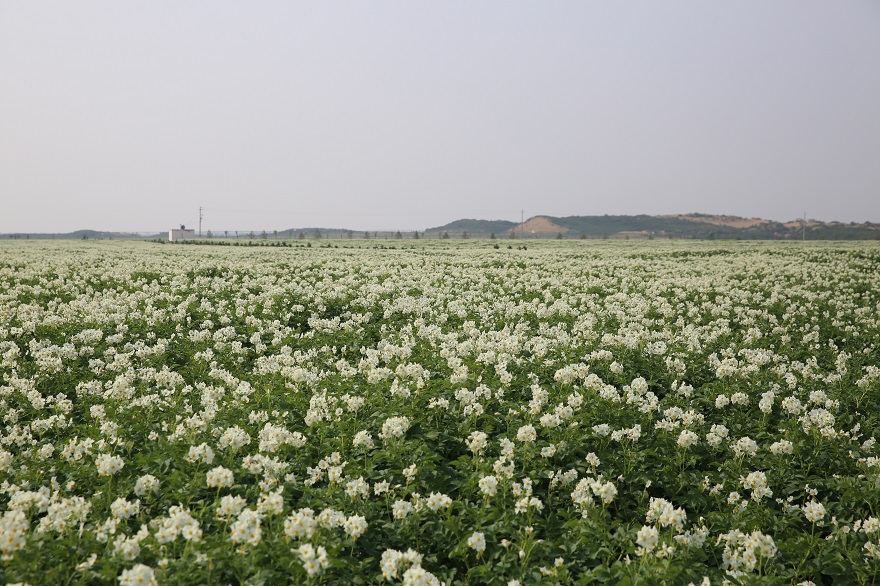 腾博汇游戏官网·(中国)专业效劳,诚信为本