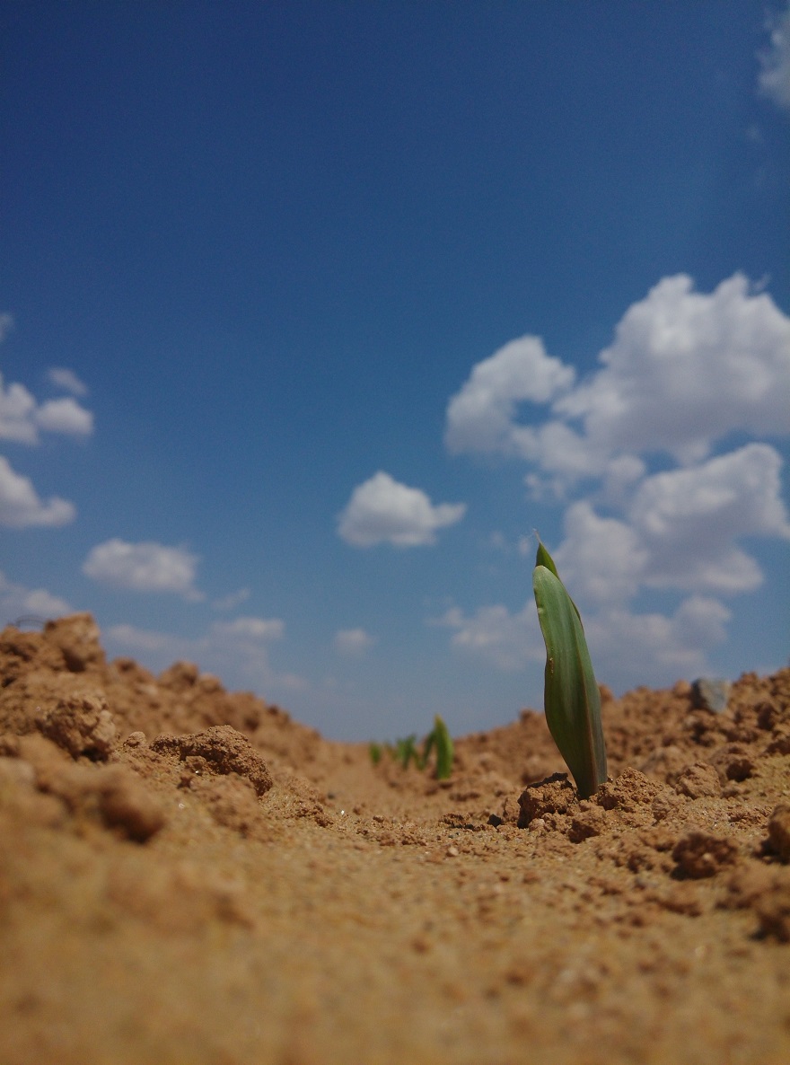 腾博汇游戏官网·(中国)专业效劳,诚信为本