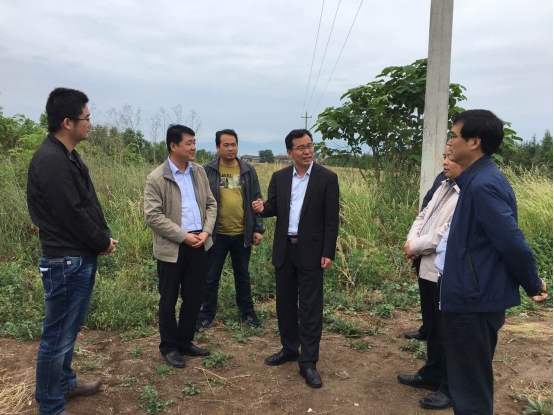 腾博汇游戏官网·(中国)专业效劳,诚信为本