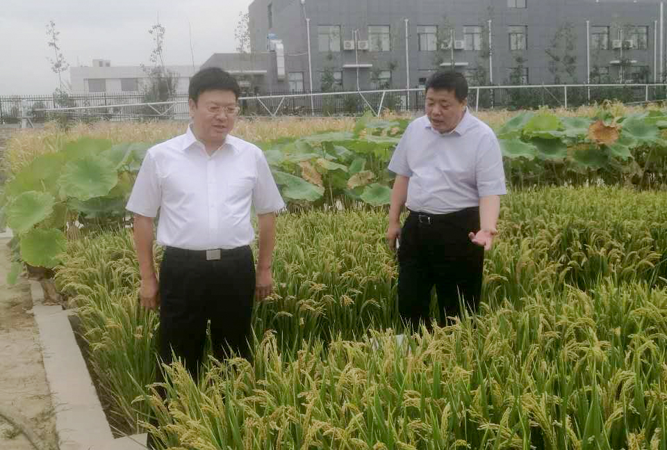 腾博汇游戏官网·(中国)专业效劳,诚信为本