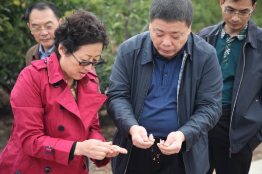 腾博汇游戏官网·(中国)专业效劳,诚信为本