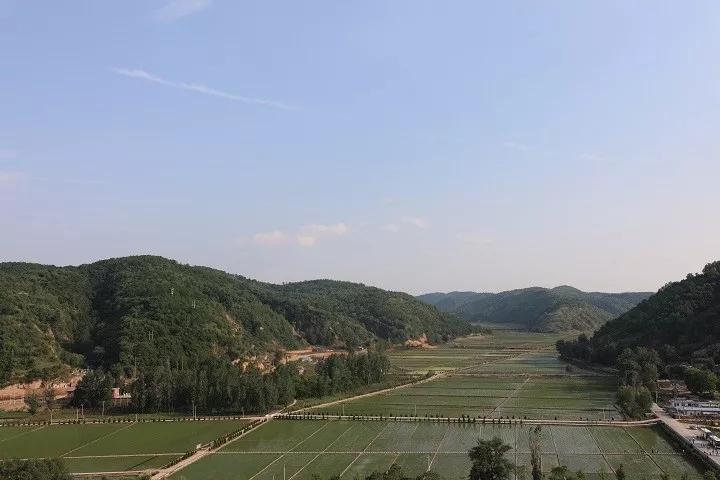 腾博汇游戏官网·(中国)专业效劳,诚信为本