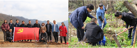 腾博汇游戏官网·(中国)专业效劳,诚信为本
