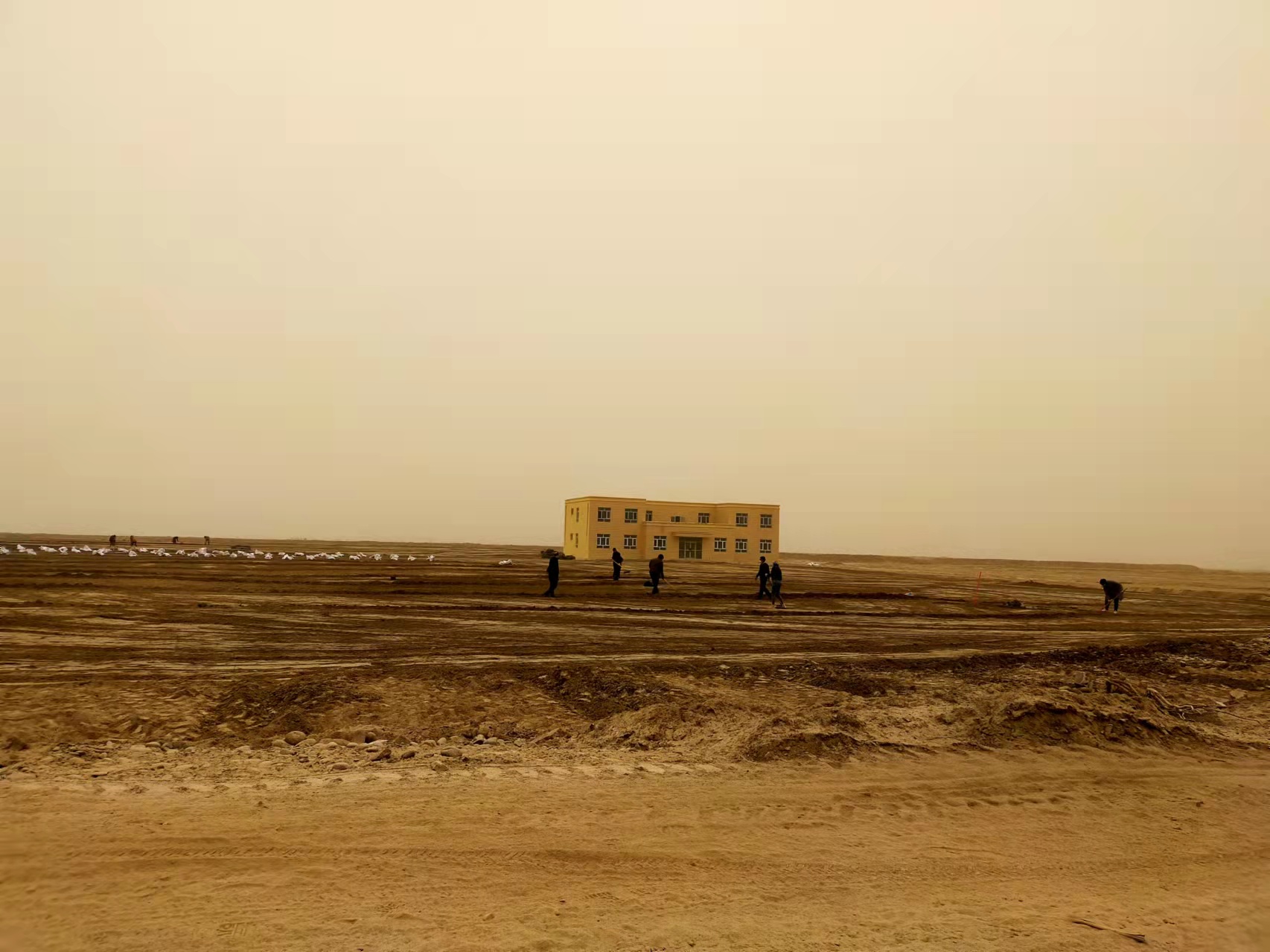 6.新疆阿克陶盐碱地研究站（将图中人P掉，，，，天气p好一点）.jpg