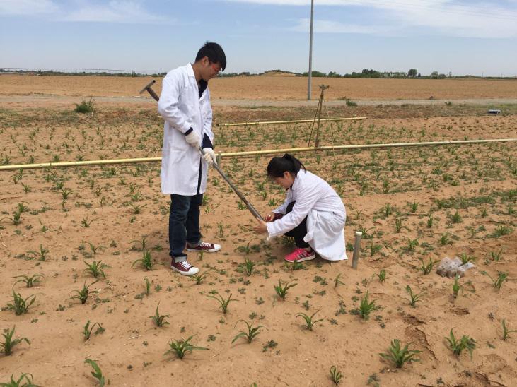 腾博汇游戏官网·(中国)专业效劳,诚信为本