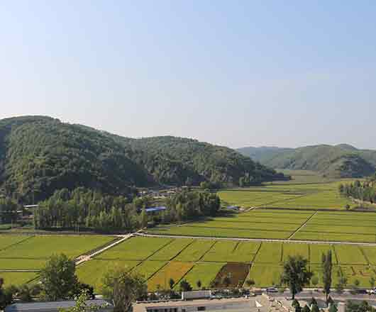 腾博汇游戏官网·(中国)专业效劳,诚信为本