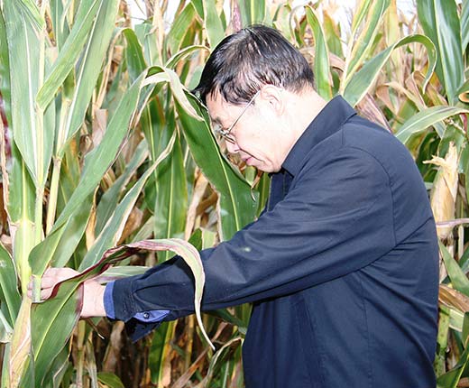 腾博汇游戏官网·(中国)专业效劳,诚信为本
